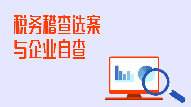 会计新锐实操训练营